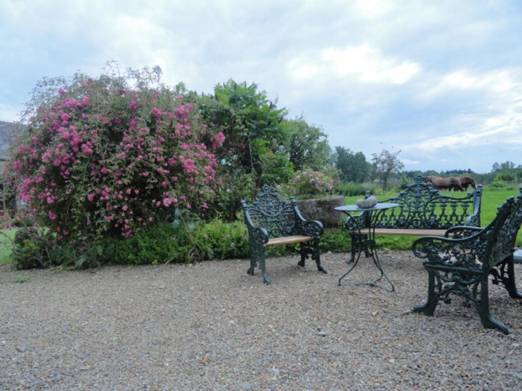 Maen Roch Manoir De La Branche B&B 외부 사진