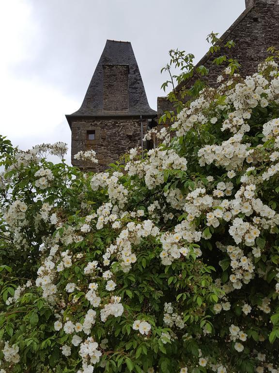 Maen Roch Manoir De La Branche B&B 외부 사진