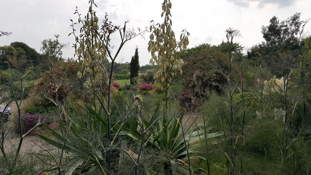 Maen Roch Manoir De La Branche B&B 외부 사진